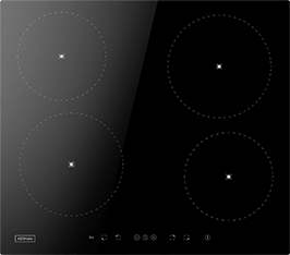 Induktionsfeld Reparatur Weimar